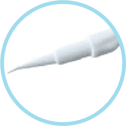 Toothpick